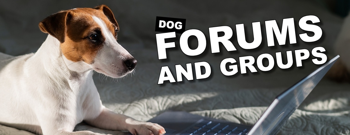 Dog forums