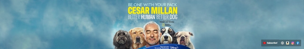Cesar Millan Dog Training