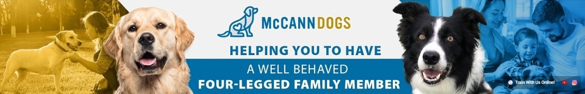 McCann Dog Training
