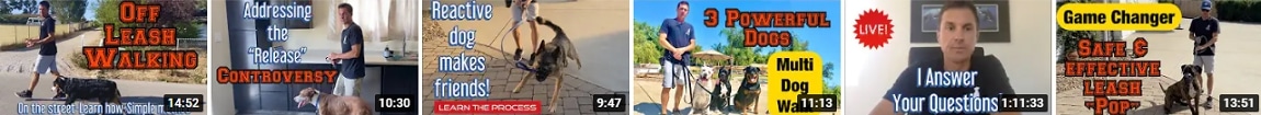 Beckmans dog training videos