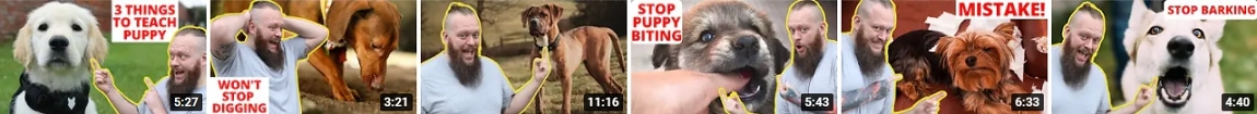 Fenrir dog training videos
